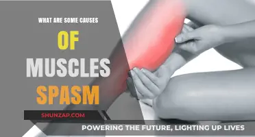 Muscle Spasms: Understanding Their Triggers and Causes