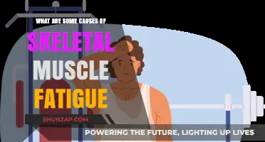 Understanding Skeletal Muscle Fatigue: Underlying Causes and Triggers