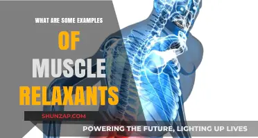 Effective Muscle Relaxants: Examples and Uses for Pain Relief
