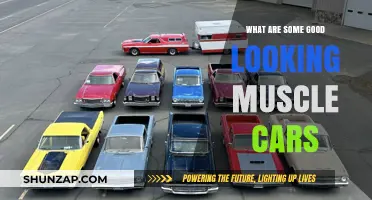 Sleek and Powerful: A Roundup of Stunning Muscle Cars