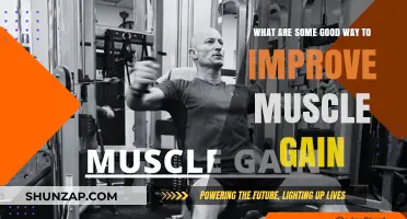 Effective Strategies to Boost Muscle Gain and Strength Naturally
