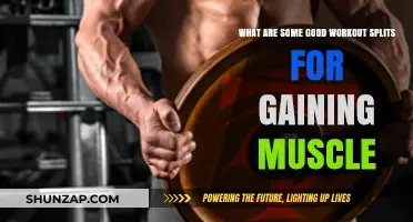 Effective Workout Splits to Maximize Muscle Growth and Strength