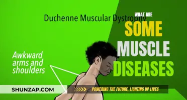 Muscle Diseases: Understanding the Various Conditions and Treatments