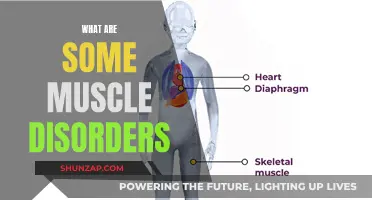 Muscle Disorders: Understanding Common Ailments and Treatments