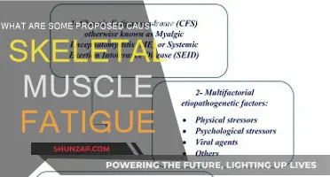 Understanding Skeletal Muscle Fatigue: Exploring Potential Causes