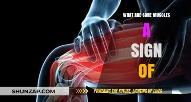 Sore Muscles: Understanding Causes, Recovery, and When to Worry