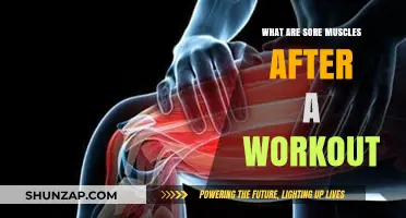 Understanding Post-Workout Muscle Soreness: Causes, Benefits, and Recovery Tips