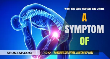Sore Muscles and Joints: Uncovering the Hidden Health Symptoms