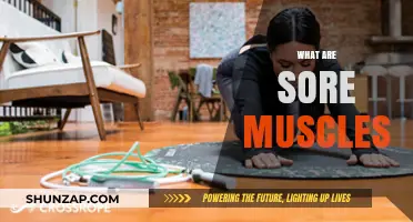 Understanding Sore Muscles: Causes, Recovery, and Prevention Tips