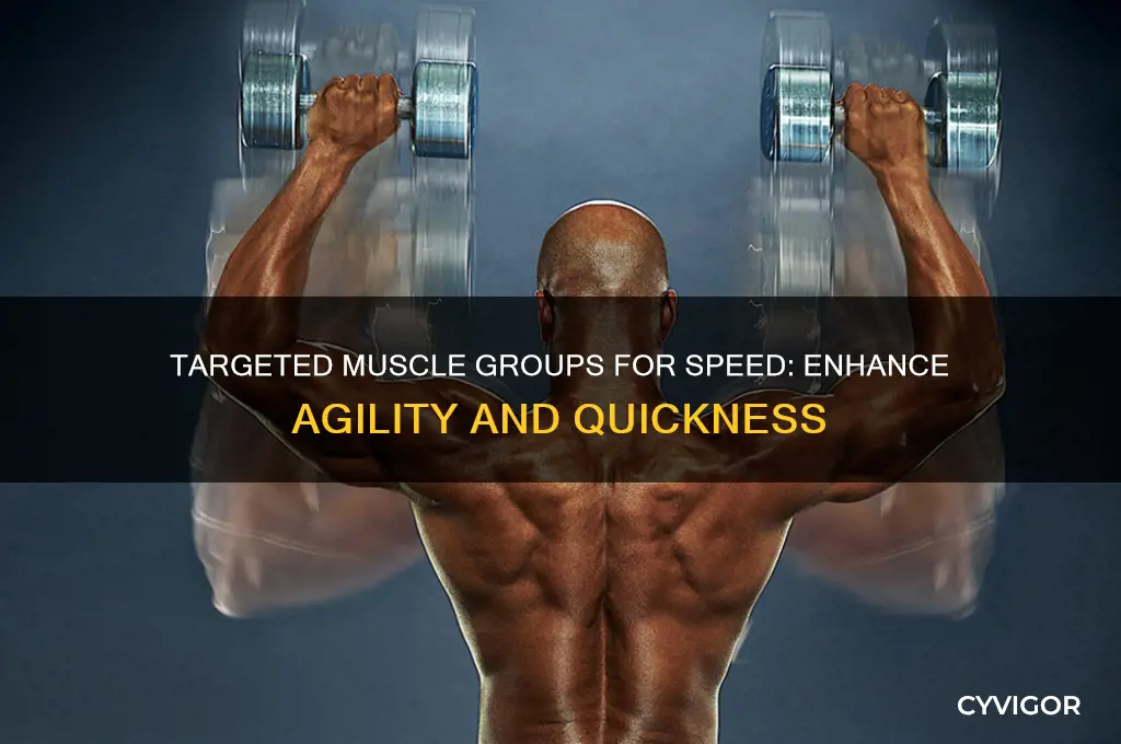 what are specific muscle group for speed exercises