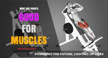 Unlocking the Power of Squats: A Comprehensive Guide to Muscle Benefits