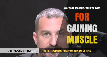 Fuel Your Muscle Growth: Best Starchy Carbs for Strength and Size