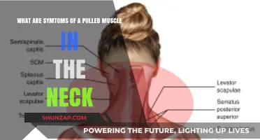 Pulled Neck Muscle Symptoms: Identifying Pain, Stiffness, and Discomfort