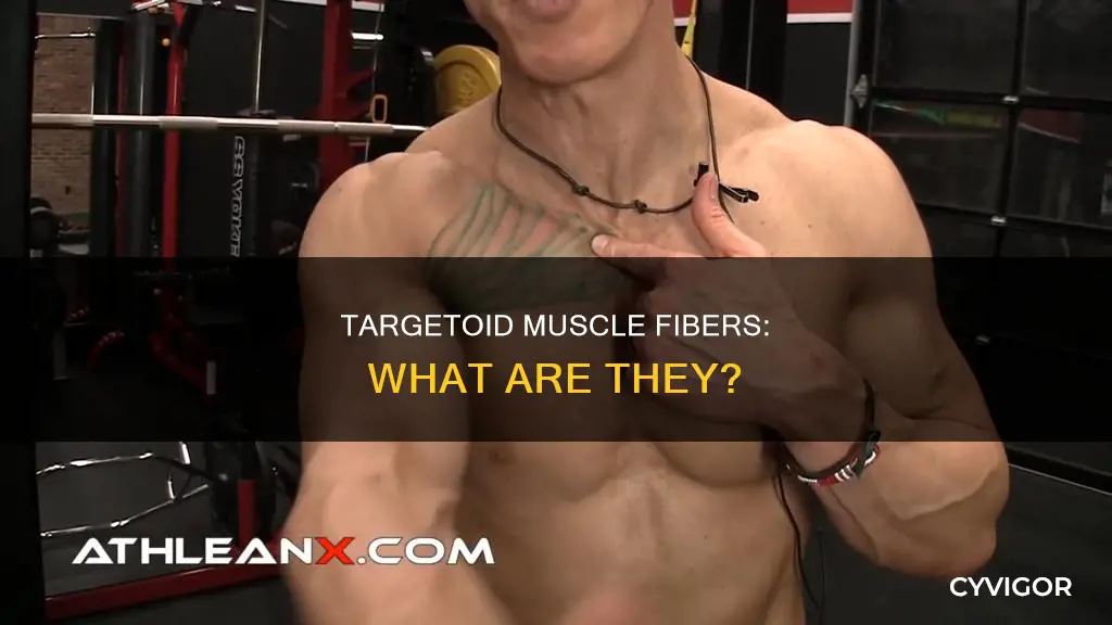 what are targetoid muscle fibers