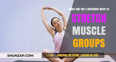 Effective Muscle Stretching Techniques: 3 Methods to Target Muscle Groups
