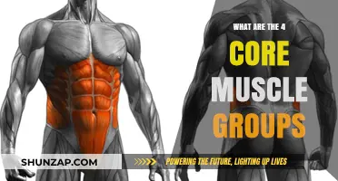 Unlocking Strength: Discover the 4 Core Muscle Groups Explained