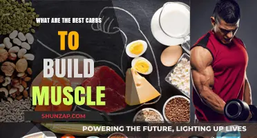 Fuel Your Gains: The Ultimate Guide to Muscle-Building Carbs