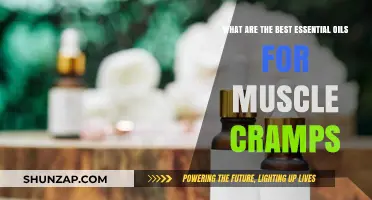 Nature's Relief: Top Essential Oils to Ease Muscle Cramps