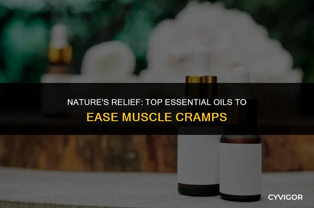 what are the best essential oils for muscle cramps