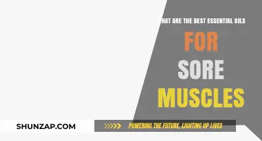 Top Essential Oils to Relieve Sore Muscles Naturally and Effectively