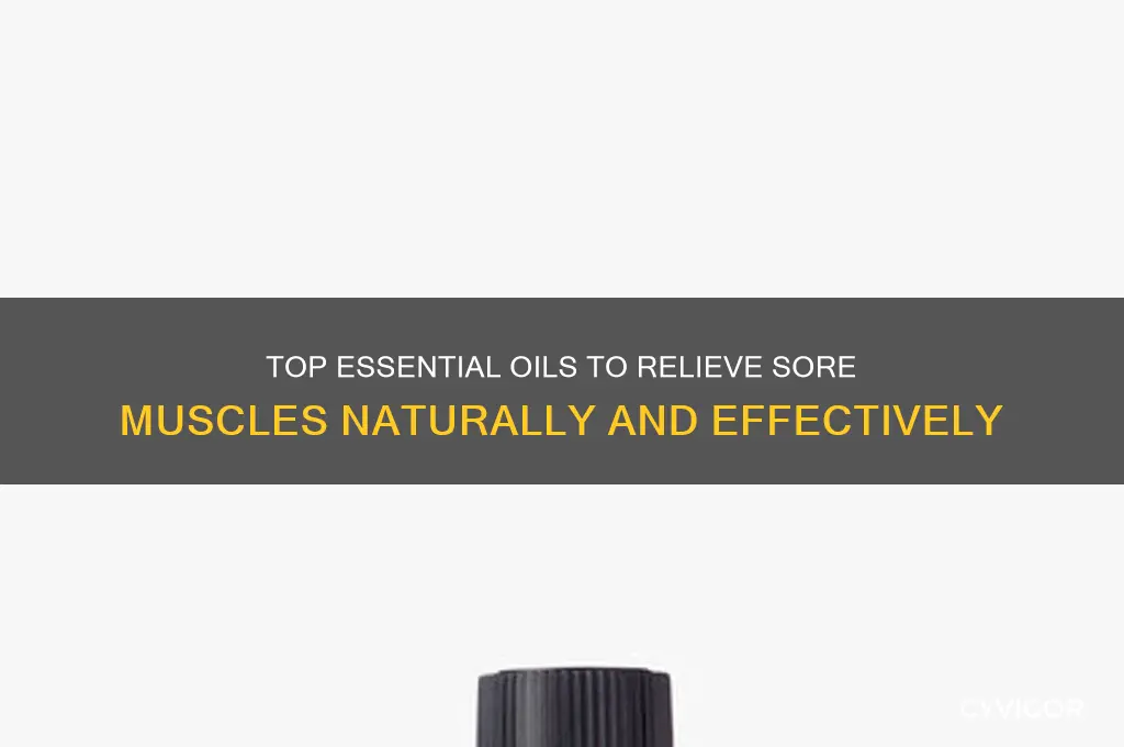 what are the best essential oils for sore muscles
