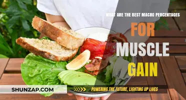 Optimal Macro Percentages for Effective Muscle Gain: A Comprehensive Guide