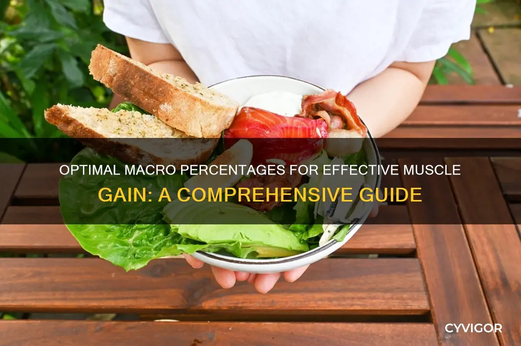 what are the best macro percentages for muscle gain