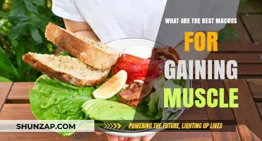 Optimal Macros for Muscle Gain: Fuel Your Growth Effectively