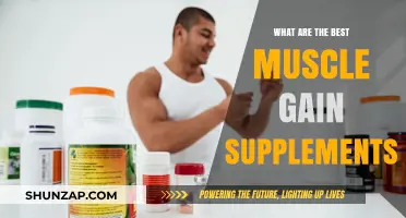 Top Muscle Gain Supplements for Effective and Safe Growth