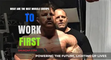 Optimize Your Workout: Prioritize These Muscle Groups for Maximum Results