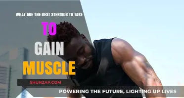 Top Muscle-Building Steroids: Safe and Effective Options to Consider