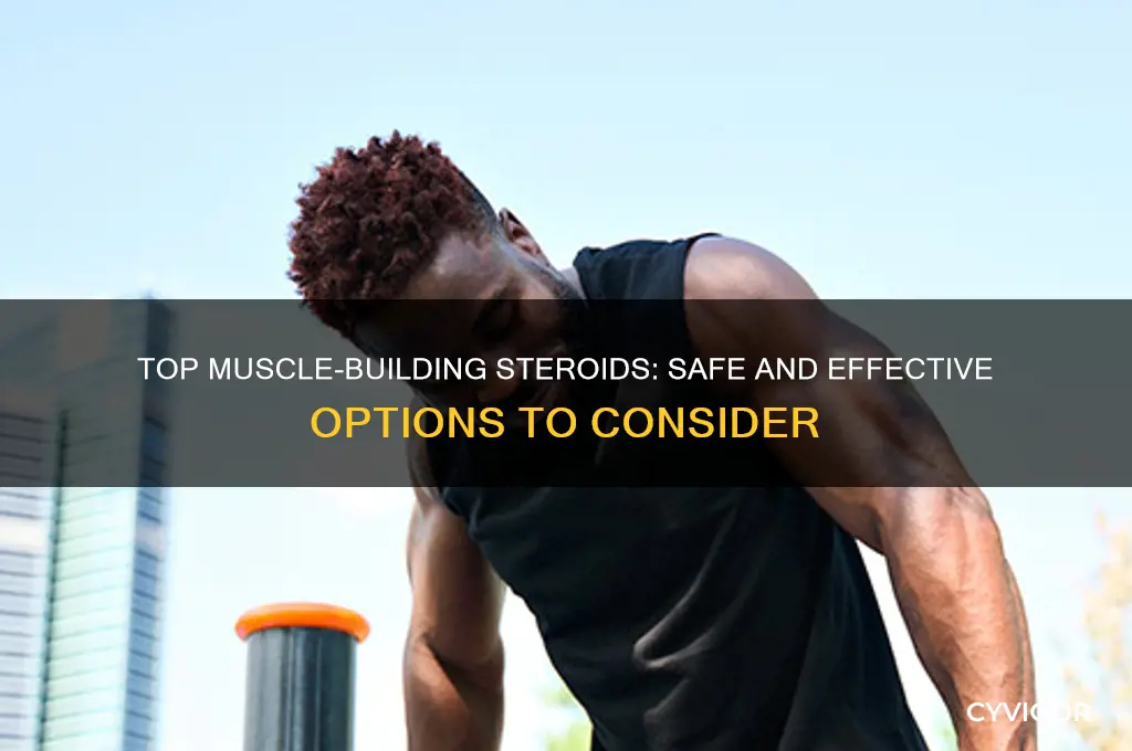 what are the best steroids to take to gain muscle