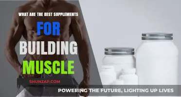 Unlocking Muscle Growth: The Ultimate Guide to Effective Supplements