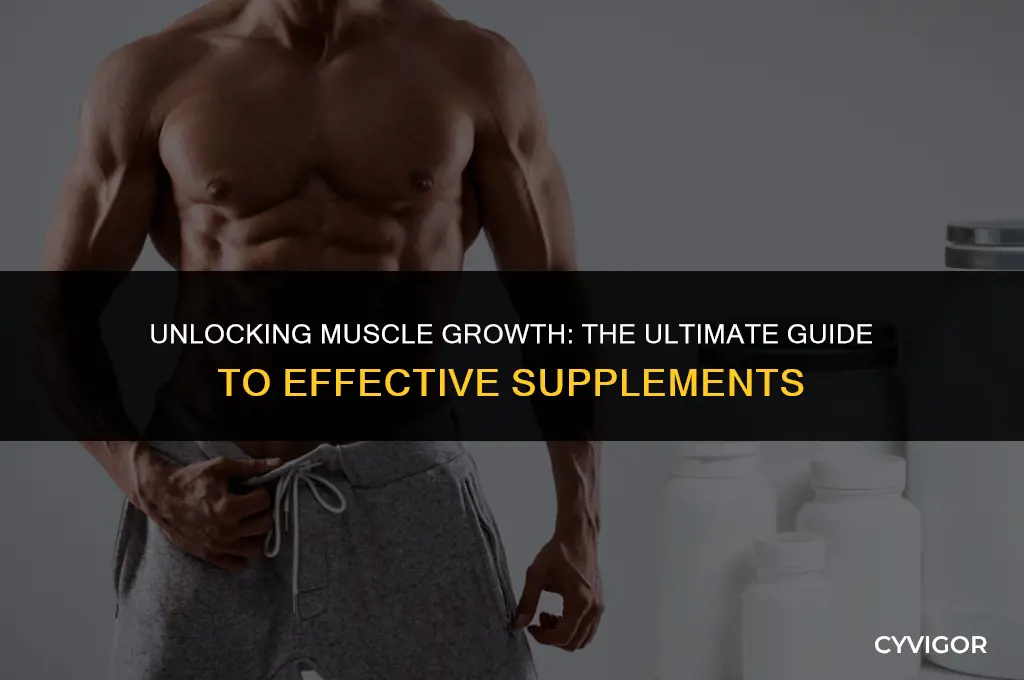 what are the best supplements for building muscle