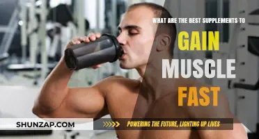 Top Muscle-Building Supplements for Rapid Strength and Size Gains