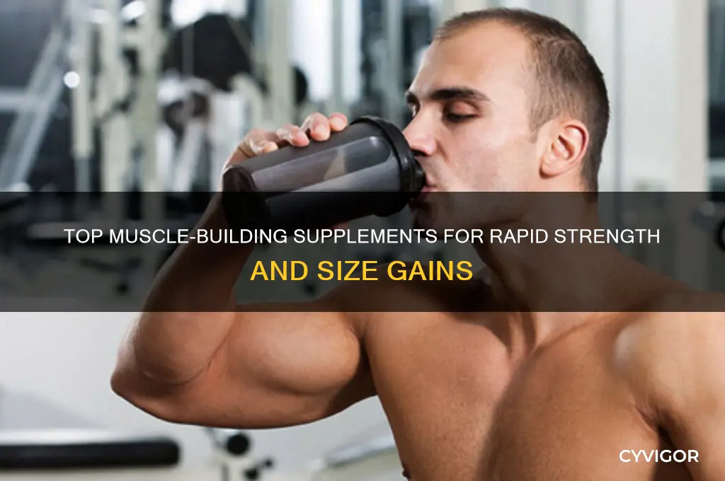 what are the best supplements to gain muscle fast