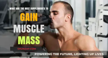 Top Muscle-Building Supplements for Effective Mass Gain Strategies