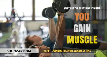 Effective Strategies for Building Muscle: Nutrition, Training, and Recovery Tips