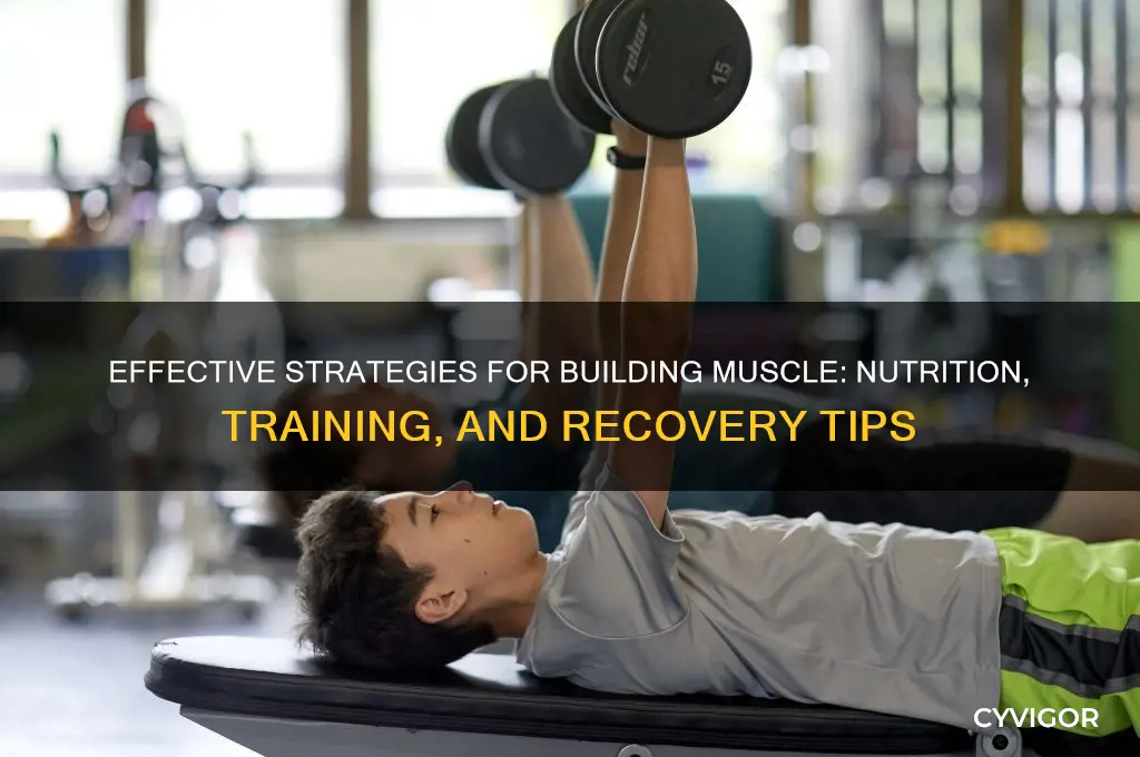 what are the best things to help you gain muscle