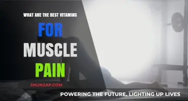 Top Vitamins to Relieve Muscle Pain and Enhance Recovery
