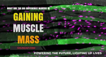 Key Factors to Maximize Muscle Growth: Unlocking Mass-Building Secrets