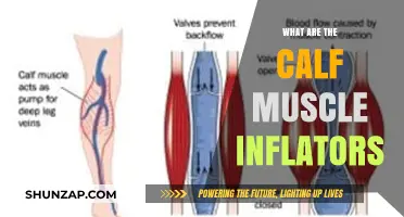 Understanding Calf Muscle Inflators: A Comprehensive Guide