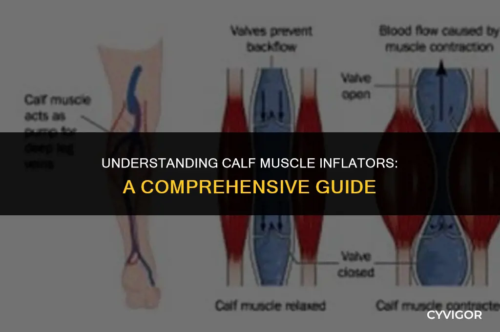 what are the calf muscle inflators