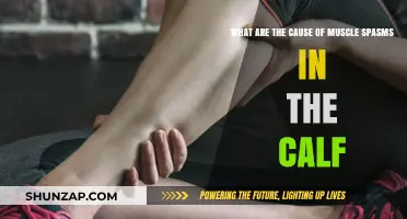 Understanding Calf Muscle Spasms: Causes and Triggers
