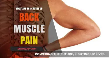 Understanding Back Muscle Pain: Causes and Triggers
