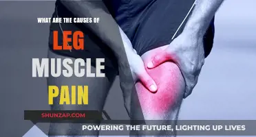 Leg Muscle Pain: Causes and Triggers