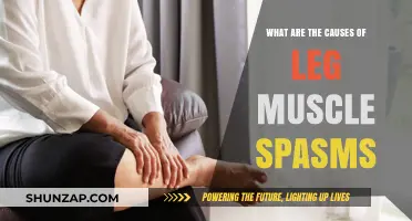 Leg Muscle Spasms: Understanding the Root Causes