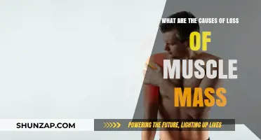 Understanding Muscle Loss: Reasons Behind Wasting Away