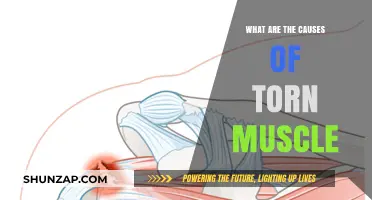 Understanding Muscle Tears: Causes and Prevention