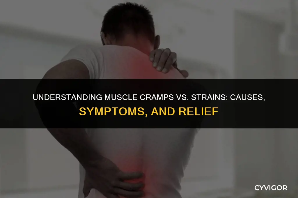 what are the differences in muscle cramps and muscle strains